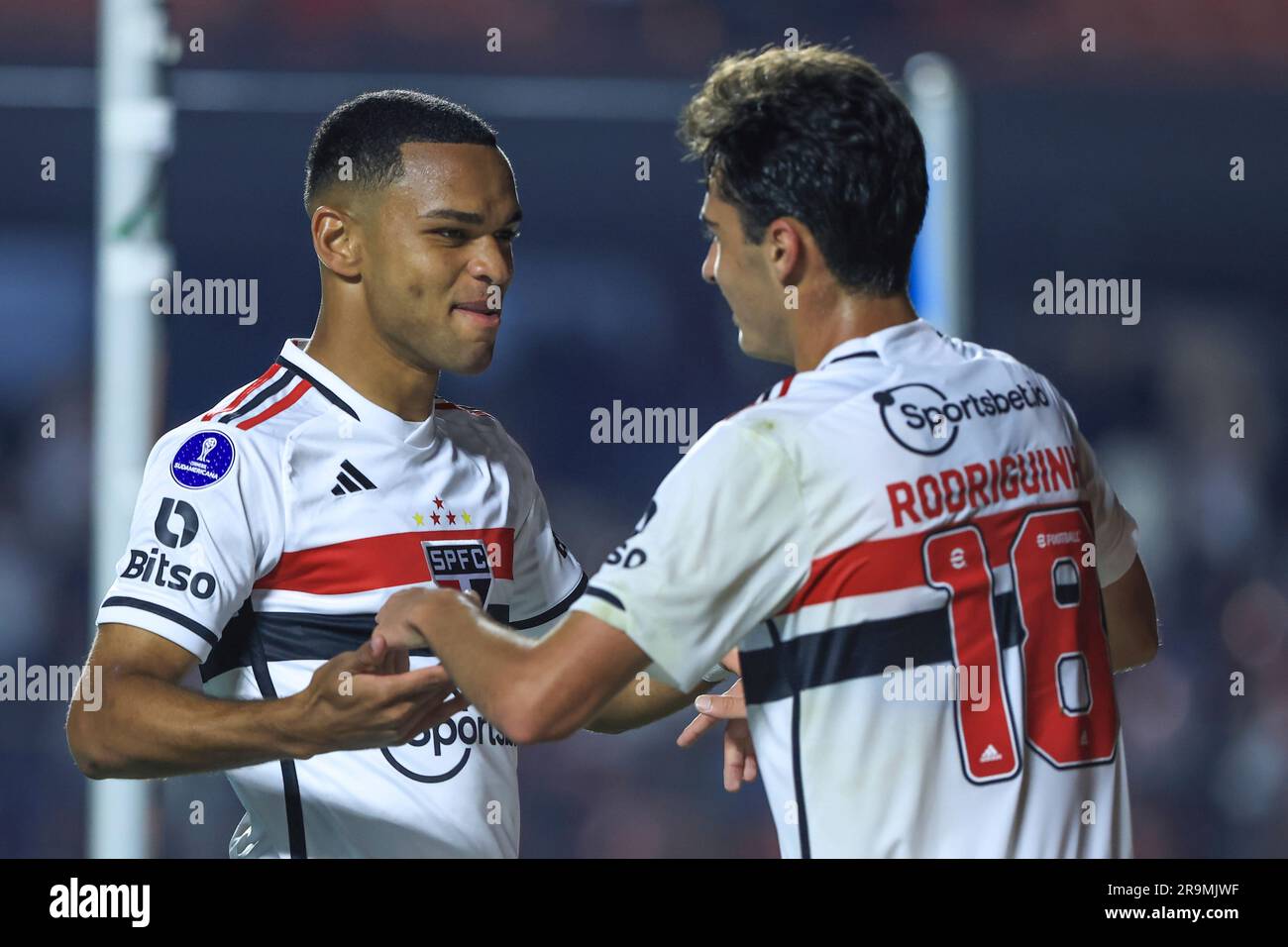 As campanhas do São Paulo na Copa Sul-Americana