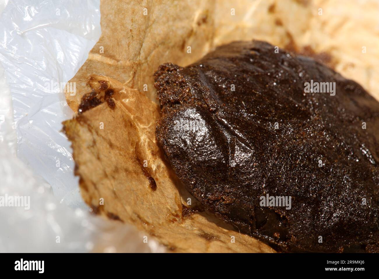 Detail of medical marijuana nepalese high thc brown charas close up bio cannabis resin hashish in Nepal extraction dry hash pollen big size amazing qu Stock Photo