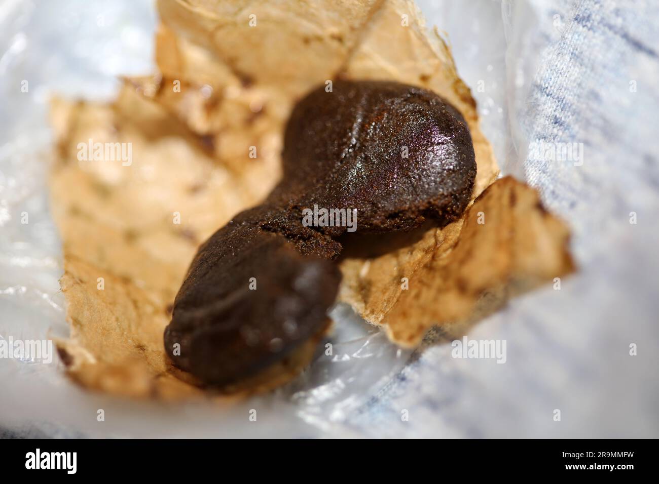 Detail of medical marijuana nepalese high thc brown charas close up bio cannabis resin hashish in Nepal extraction dry hash pollen big size amazing qu Stock Photo