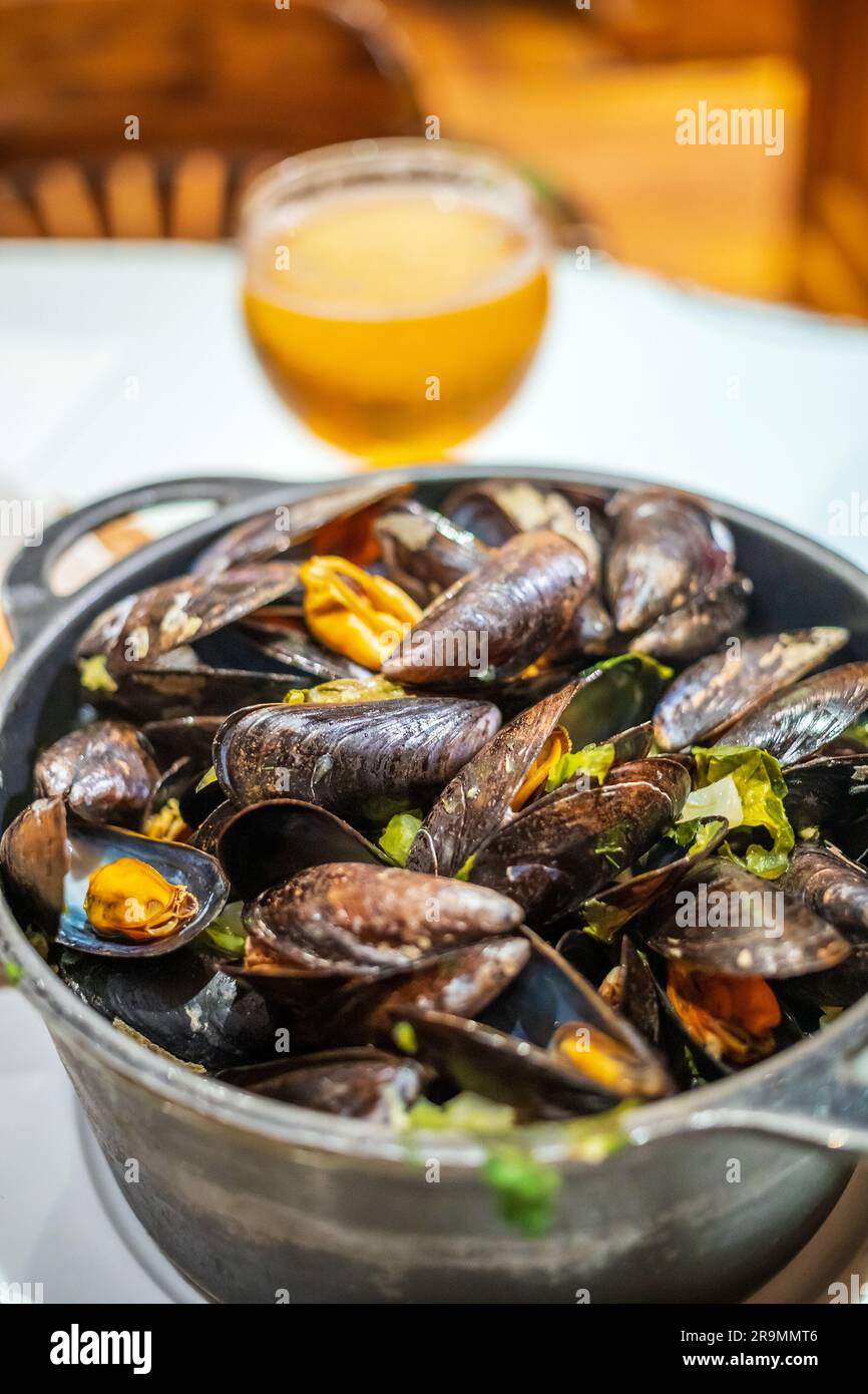 Traditional Belgian steamed mussels in Belgium Stock Photo Alamy