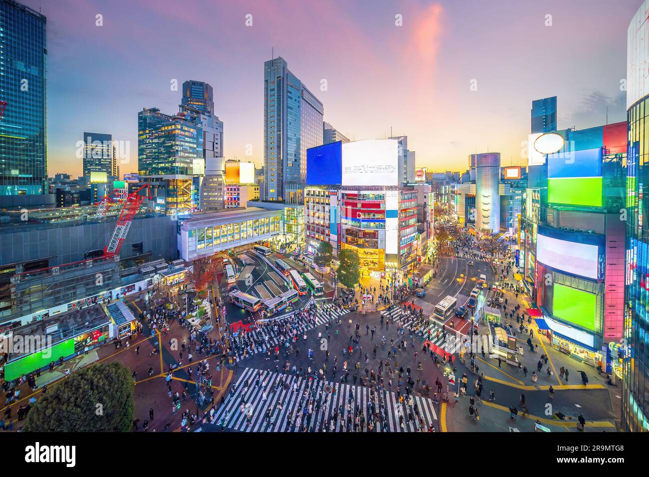 Top view of Shibuya Crossing at twilight in Tokyo, Japan Stock Photo ...