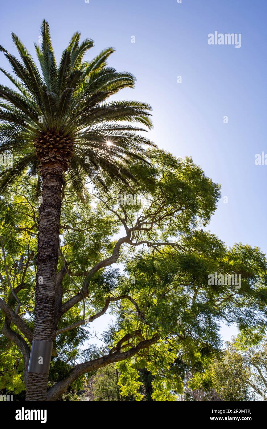 The Toowoomba Queens Park and Botanic Gardens is a heritage-listed ...