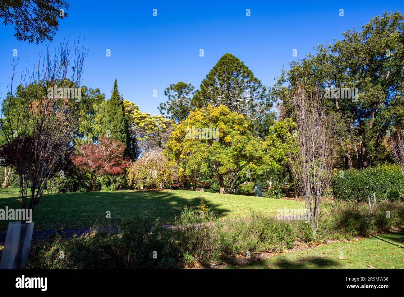 The Toowoomba Queens Park and Botanic Gardens is a heritage-listed ...