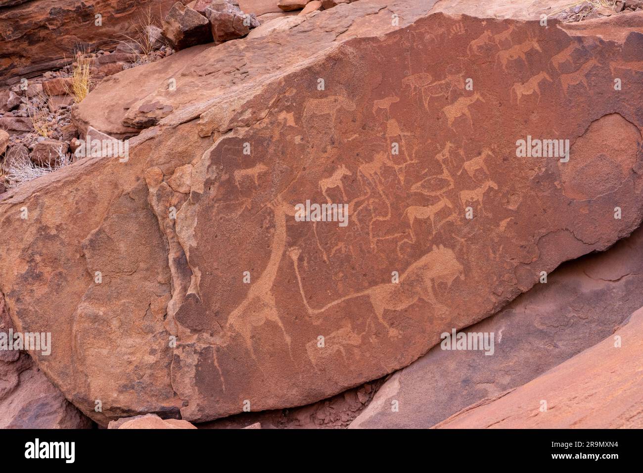 Twyfelfontein (Afrikaans: uncertain spring), officially known as ǀUi-ǁAis (Damara/Nama: jumping waterhole), is a site of ancient rock engravings in th Stock Photo