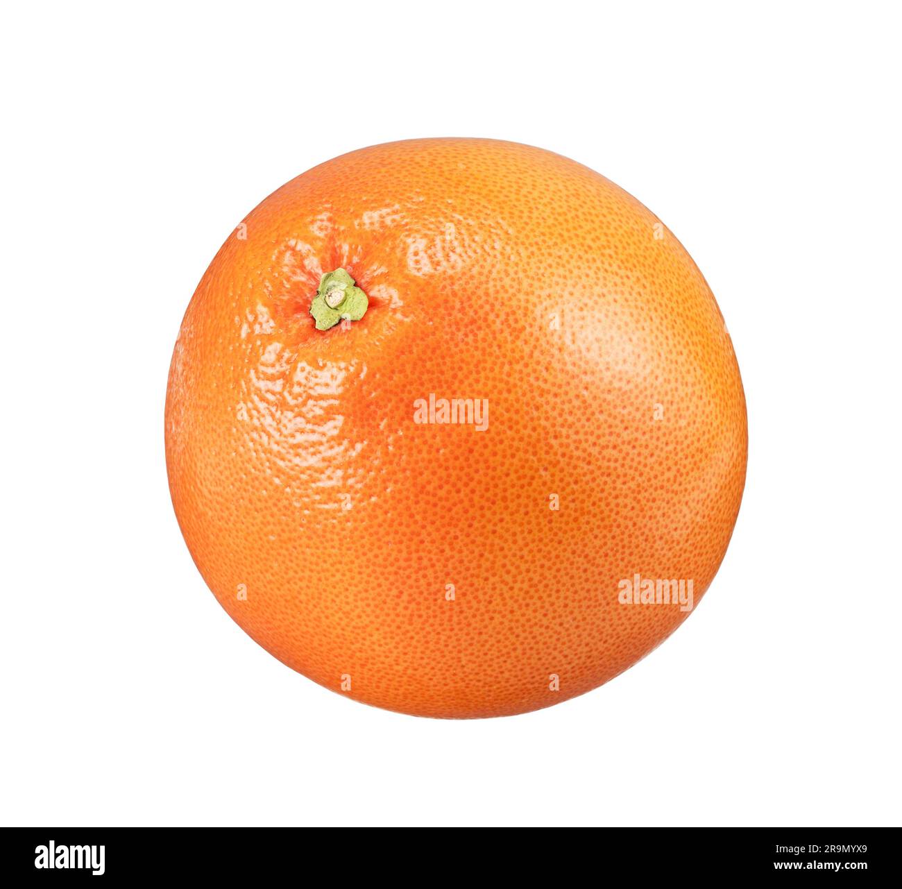 One grapefruit placed on a white background. Stock Photo
