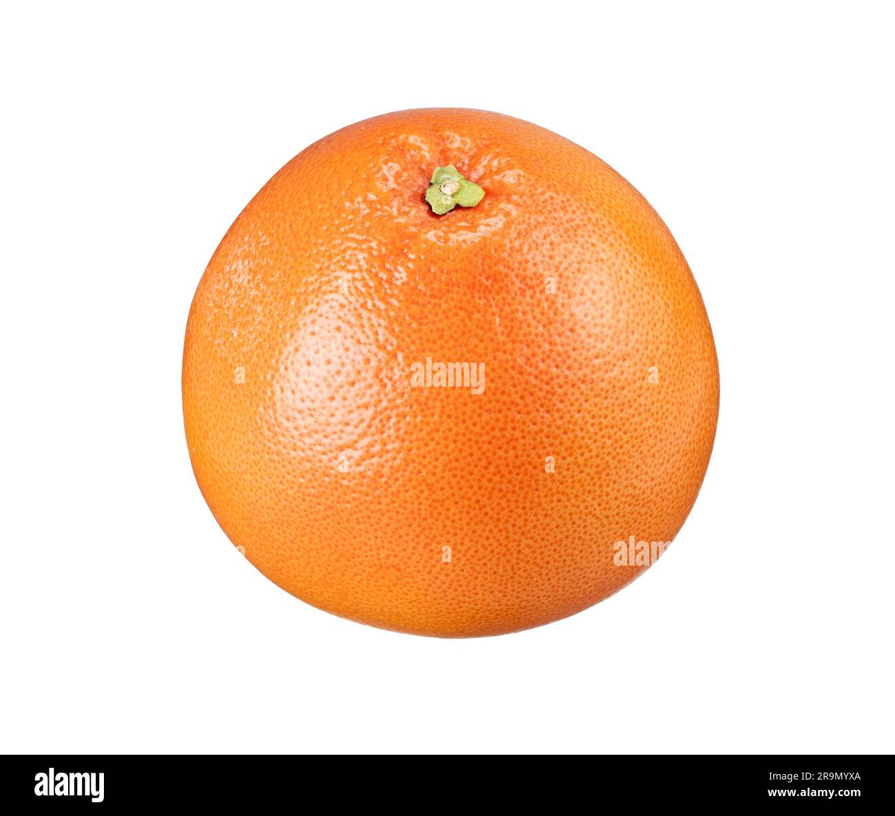 One grapefruit placed on a white background. Stock Photo
