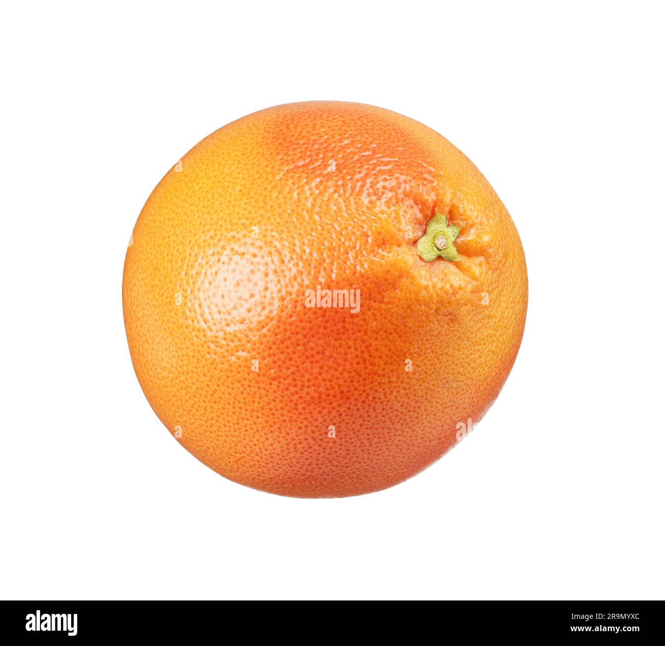 One grapefruit placed on a white background. Stock Photo