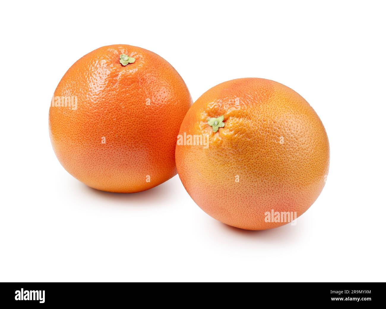 Two grapefruits placed on a white background. Stock Photo