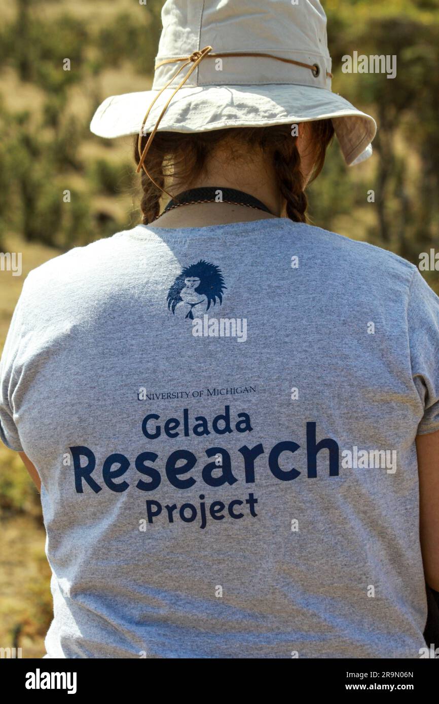 Gelada Research Project Simien mountains, Ethiopia Gelada monkeys Theropithecus gelada Stock Photo