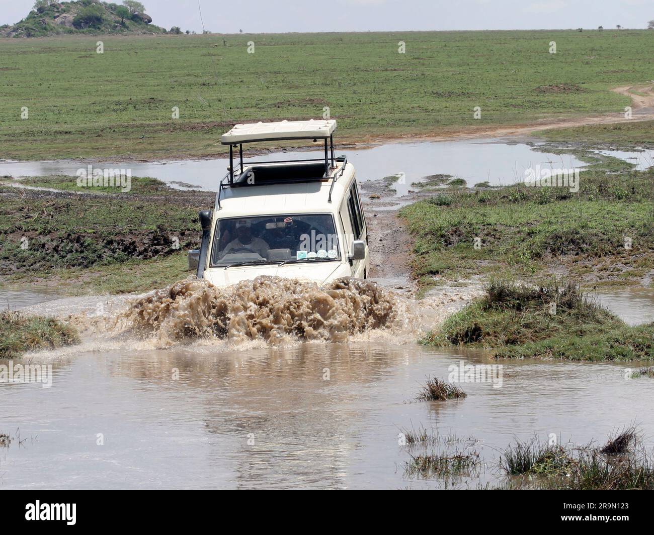 Africa, Tanzania, Serengeti National Park, Safari tourists in an open top land rover crossing a water barrier Stock Photo