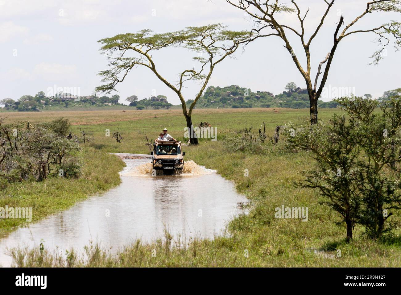 Africa, Tanzania, Serengeti National Park, Safari tourists in an open top land rover crossing a water barrier Stock Photo