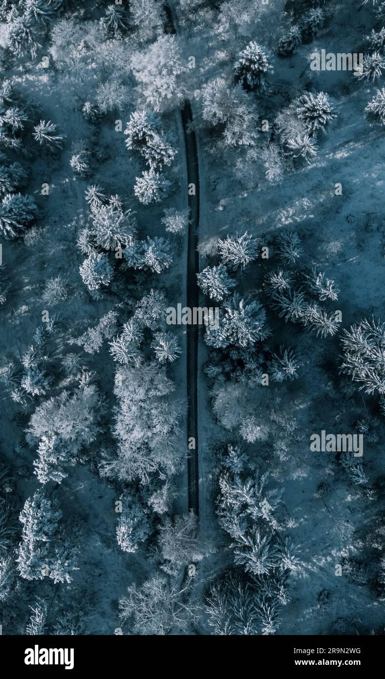 An aerial view of a snowy forest featuring a winding path Stock Photo ...
