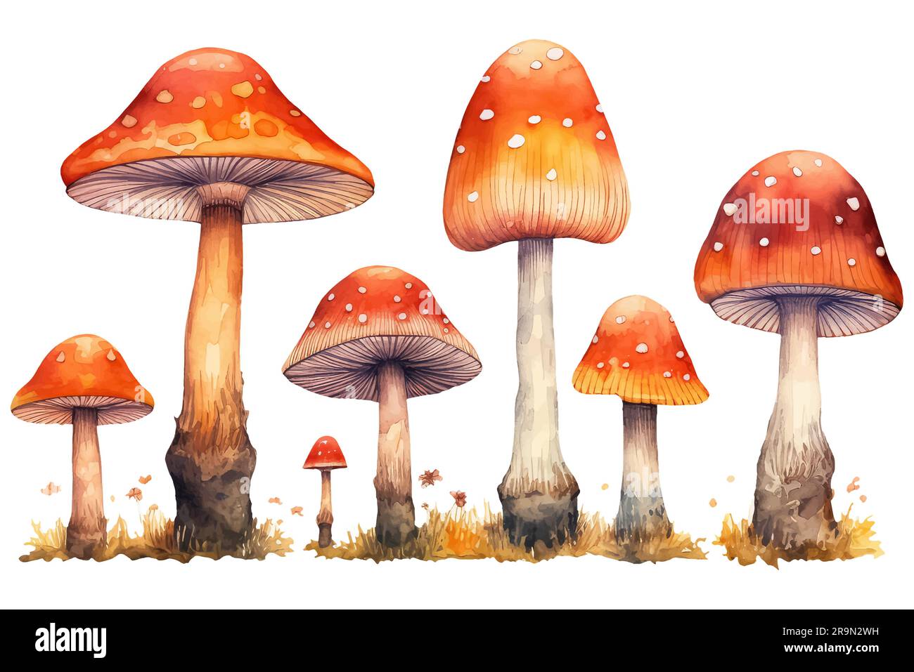 collection of watercolor autumn mushrooms isolated on white background ...