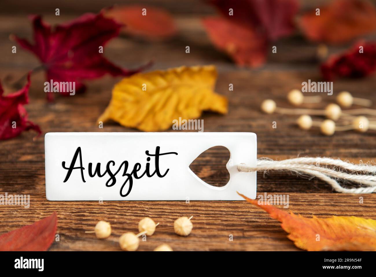 Autumn or Fall Background with Label with German Text Auszeit, Means