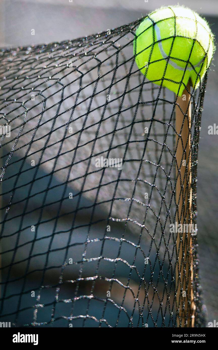 Tennis ball supporting garden nets Stock Photo Alamy