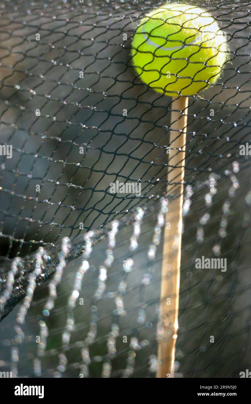 Supporting tennis hires stock photography and images Alamy