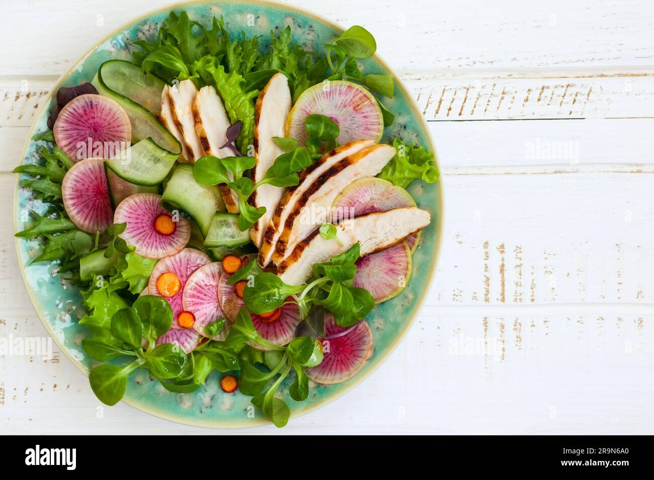 Grilled chicken salad  with cucumber and watermelon radish Stock Photo