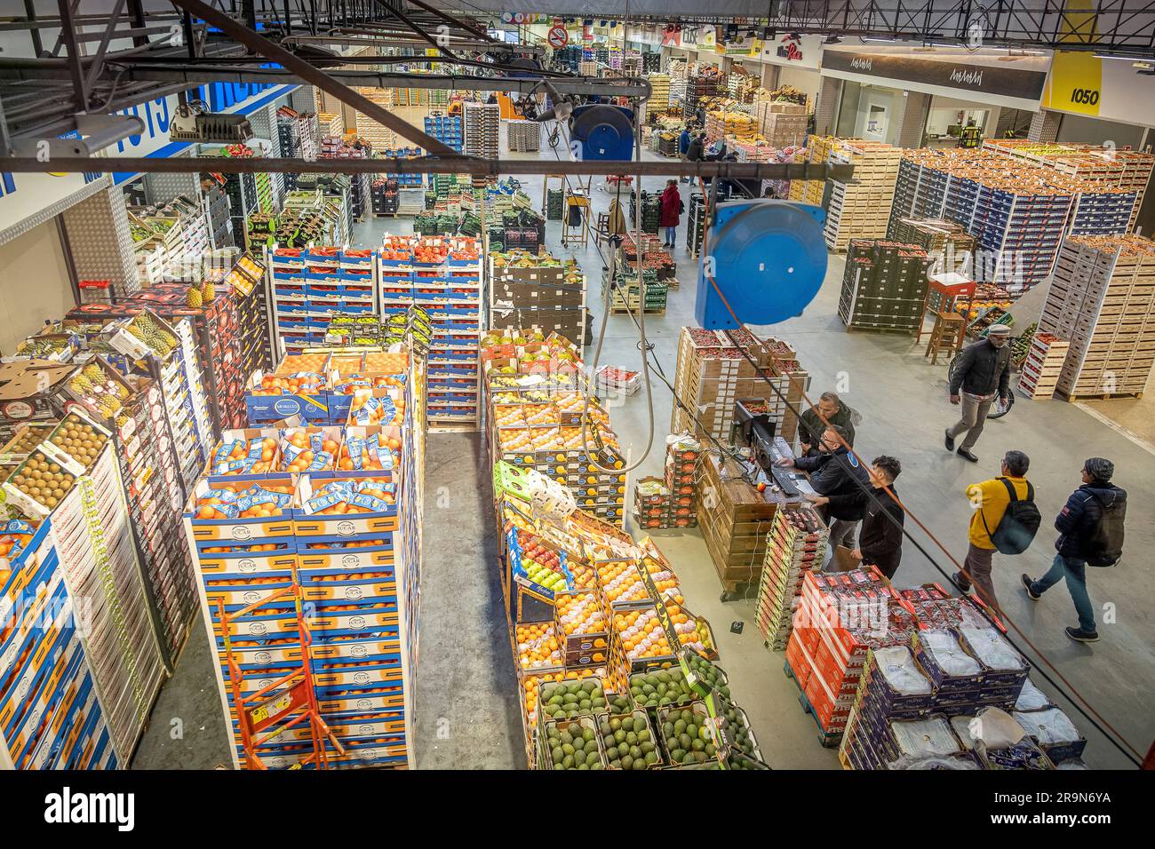 Fruit and Vegetable section, in Mercabarna. Barcelona´s Central Markets. Barcelona. Spain Stock Photo