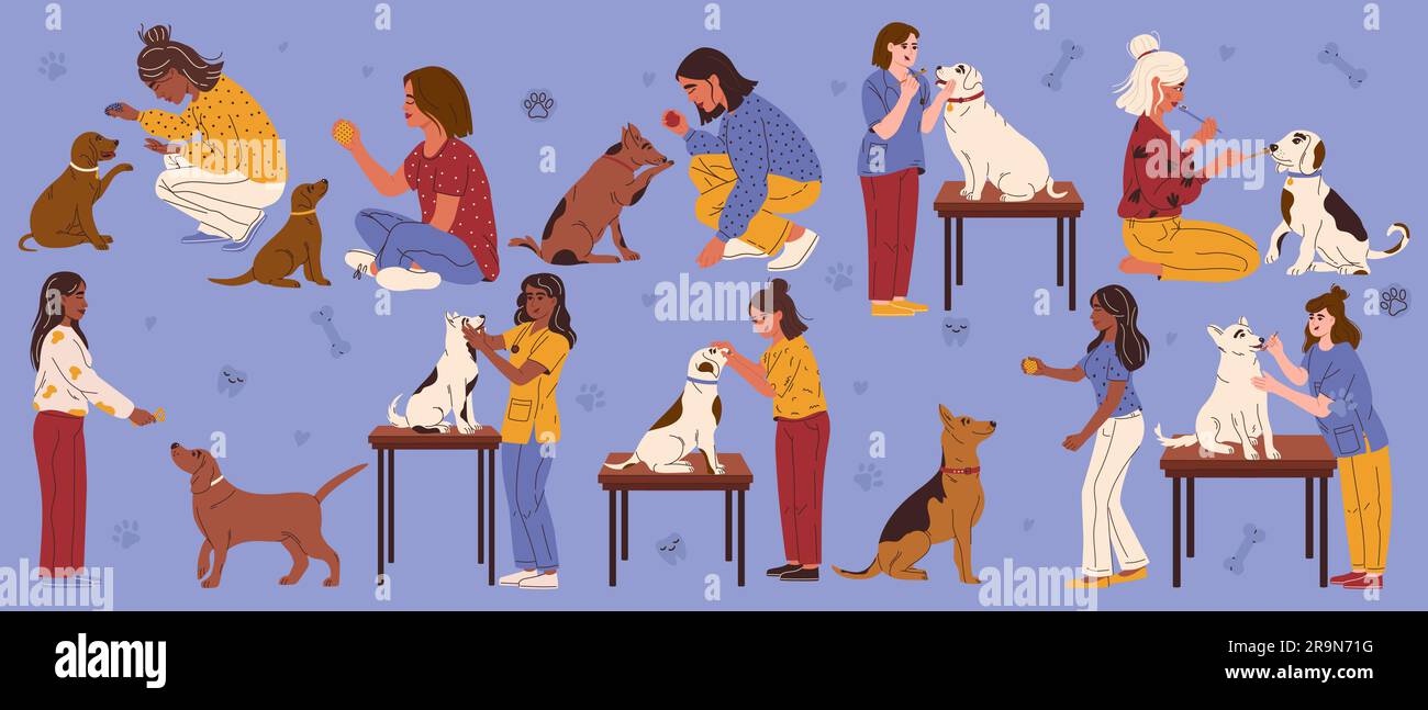 Set of people caring for dogs' teeth. Owners and veterinarians. Gum disease prevention. Dog dental care concept. Vector illustration. Stock Vector
