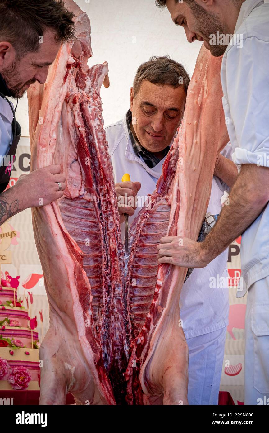 Butcher butchering a pig. Firaporc, pig fair, Riudellots de la Selva, Catalonia, Spain Stock Photo