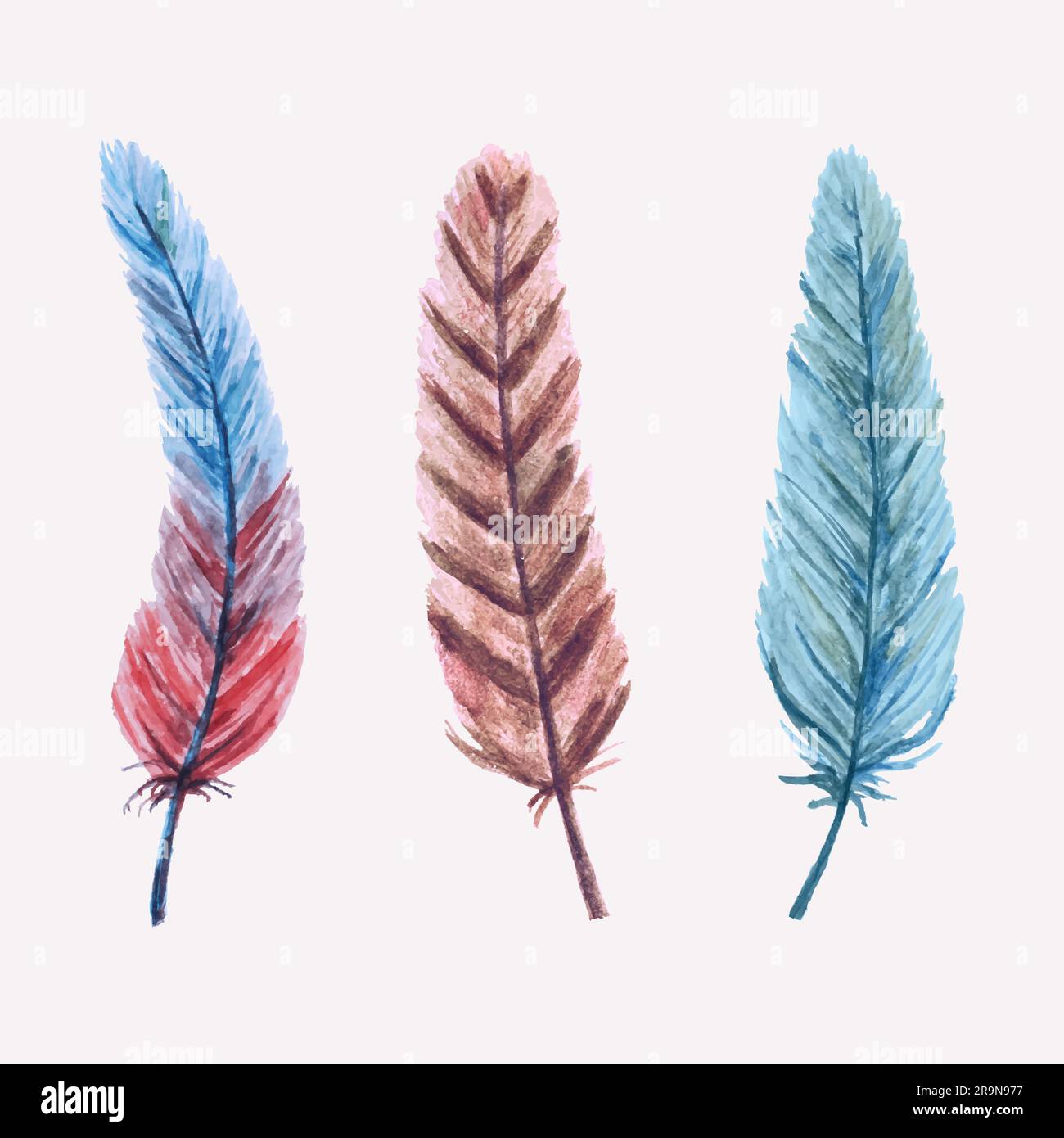 Vector set of hand-drawn watercolor feathers Stock Vector Image & Art ...