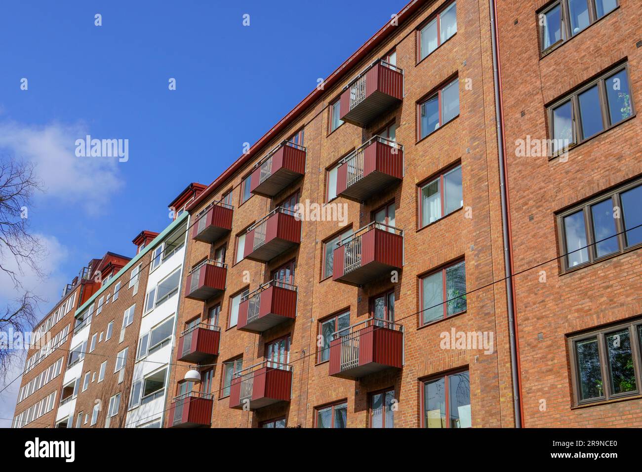 Picture of In This 474-Square-Foot Apartment, Park Views Coexist with '60s ...