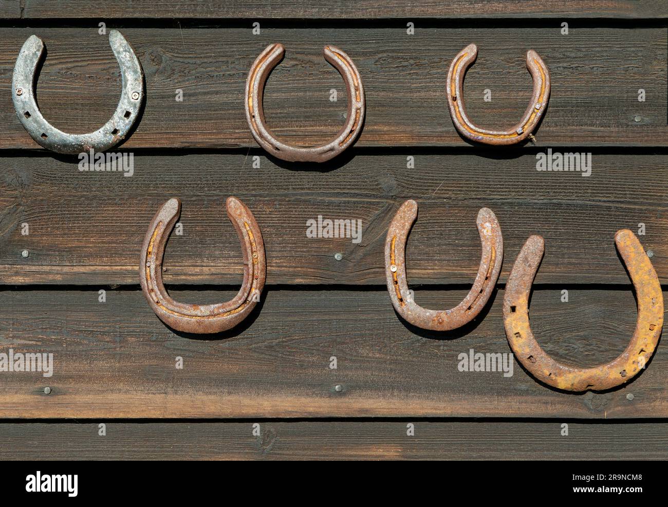 Competition Horseshoes