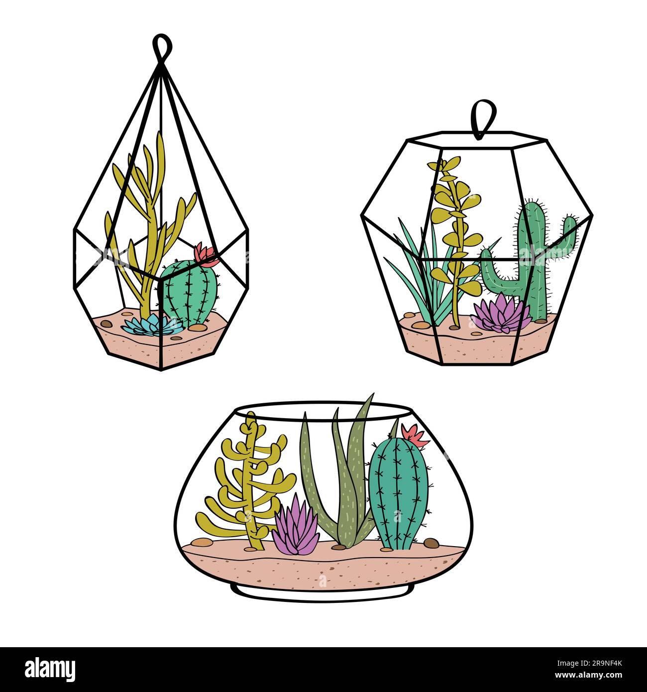 Vector set with colorful cactuses and succulents in terrariums