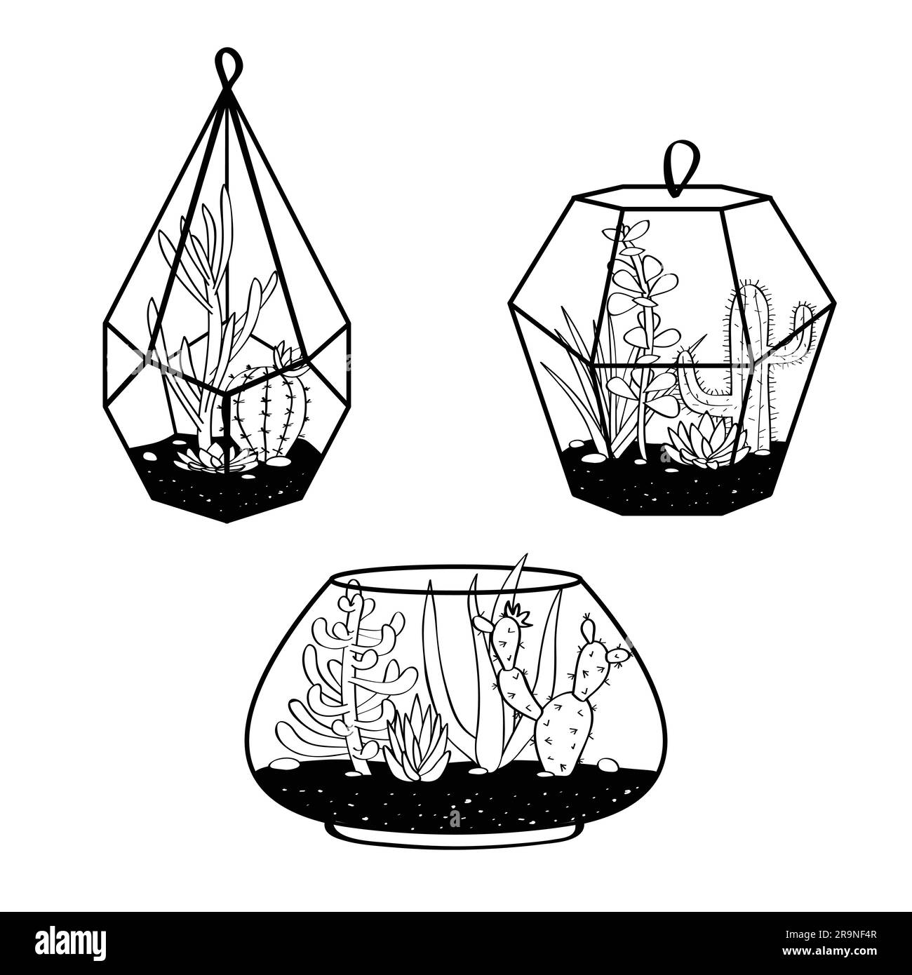 Vector set with black and white cactuses and succulents in terrariums