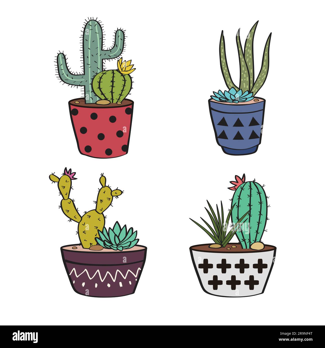 Vector set with colorful cactuses and succulents in pots Stock Vector ...