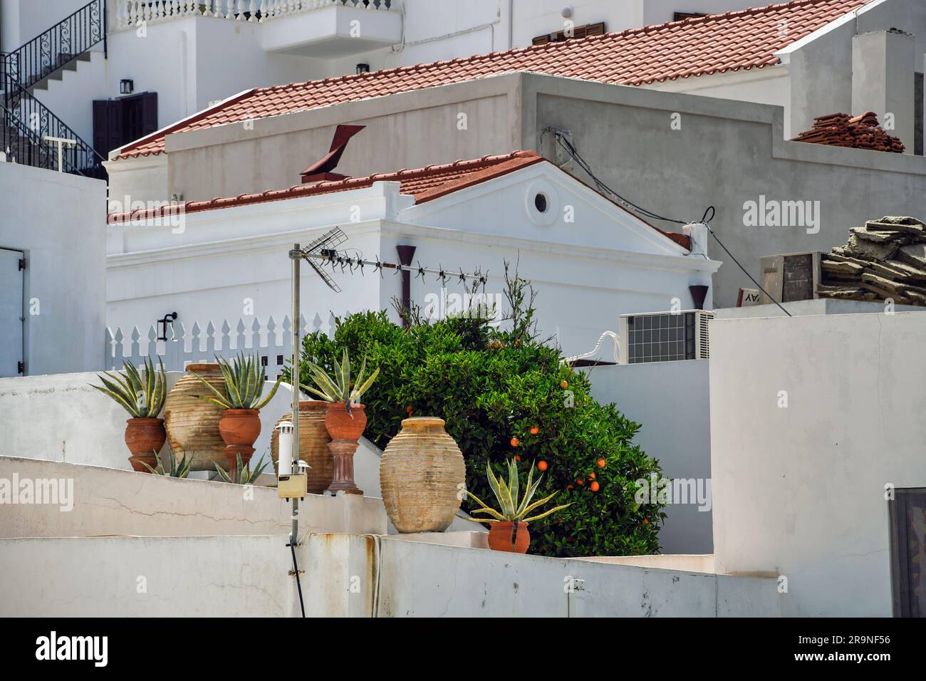 Kübelpflanzen auf Mauern in Lindos auf Rhodos Stock Photo