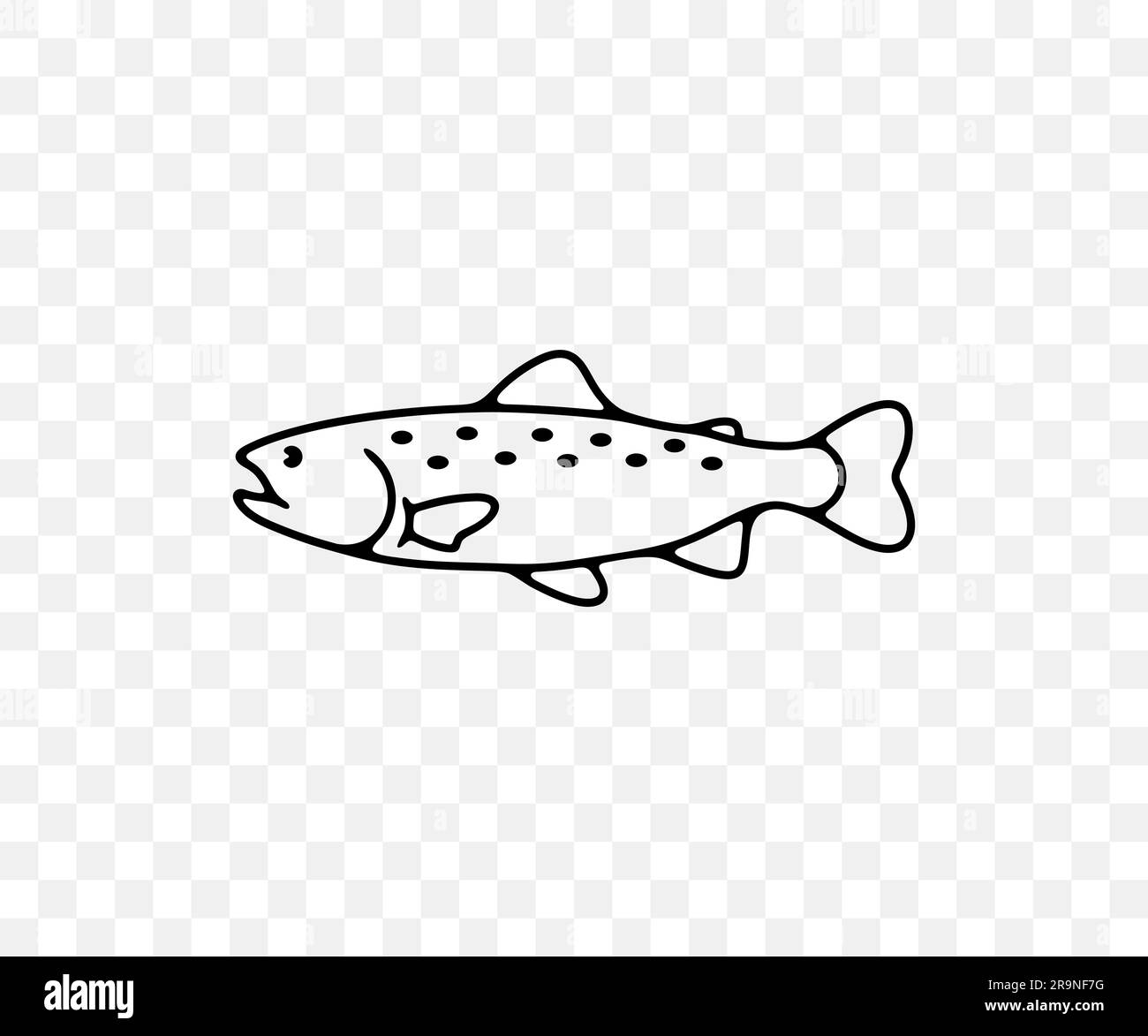 Rainbow trout, trout, fish, animal, fishing and nature, linear graphic
