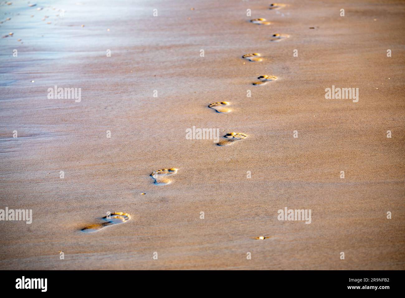 Texture footprints in sand hi-res stock photography and images - Alamy