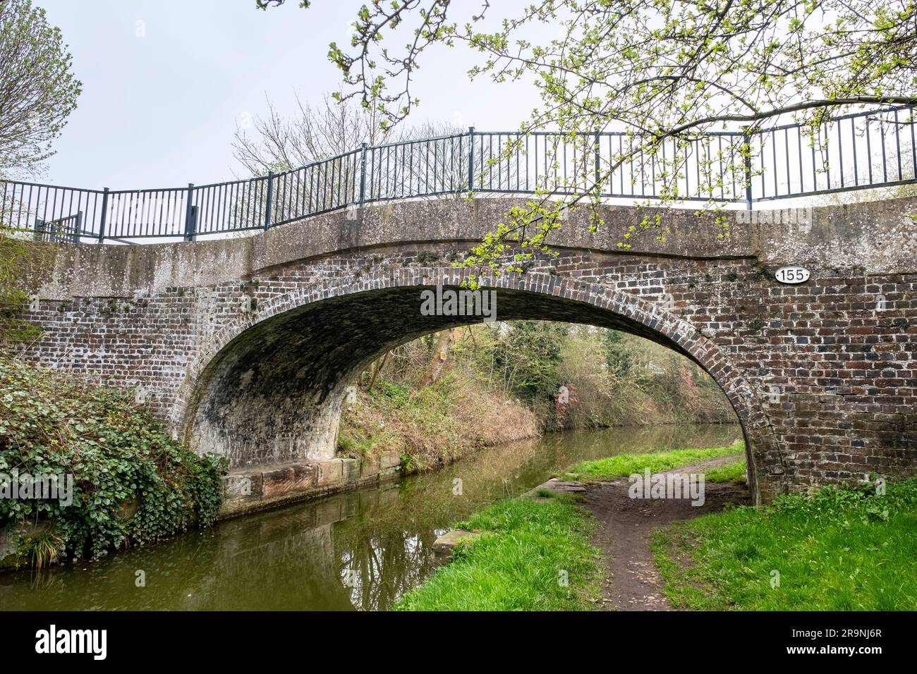 155 canal Forge bridge near Wheelock Cheshire UK Stock Photo