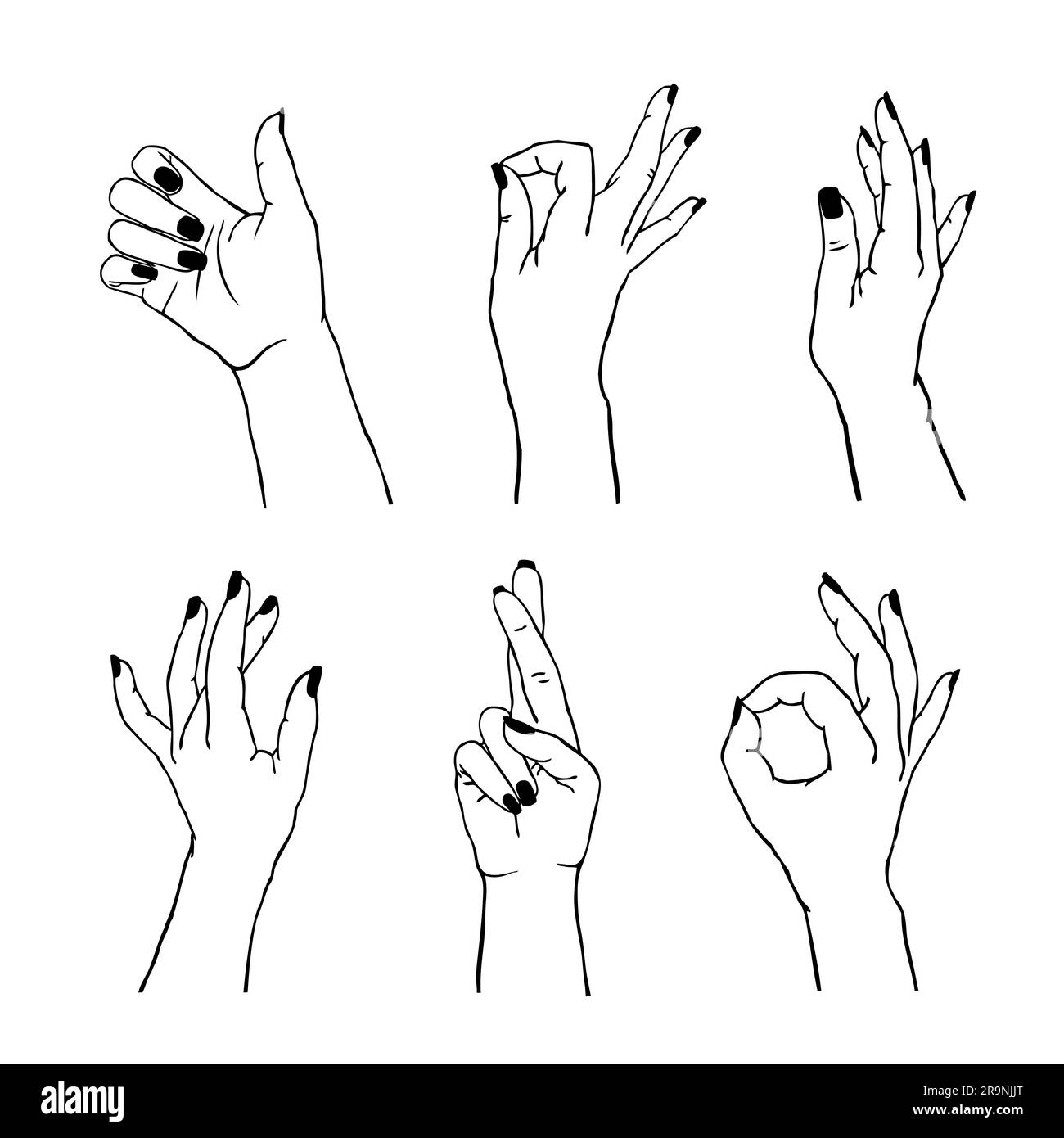 Vector Set Of Different Gestures Isolated Collection Of Female Hands In Different Positions 3824