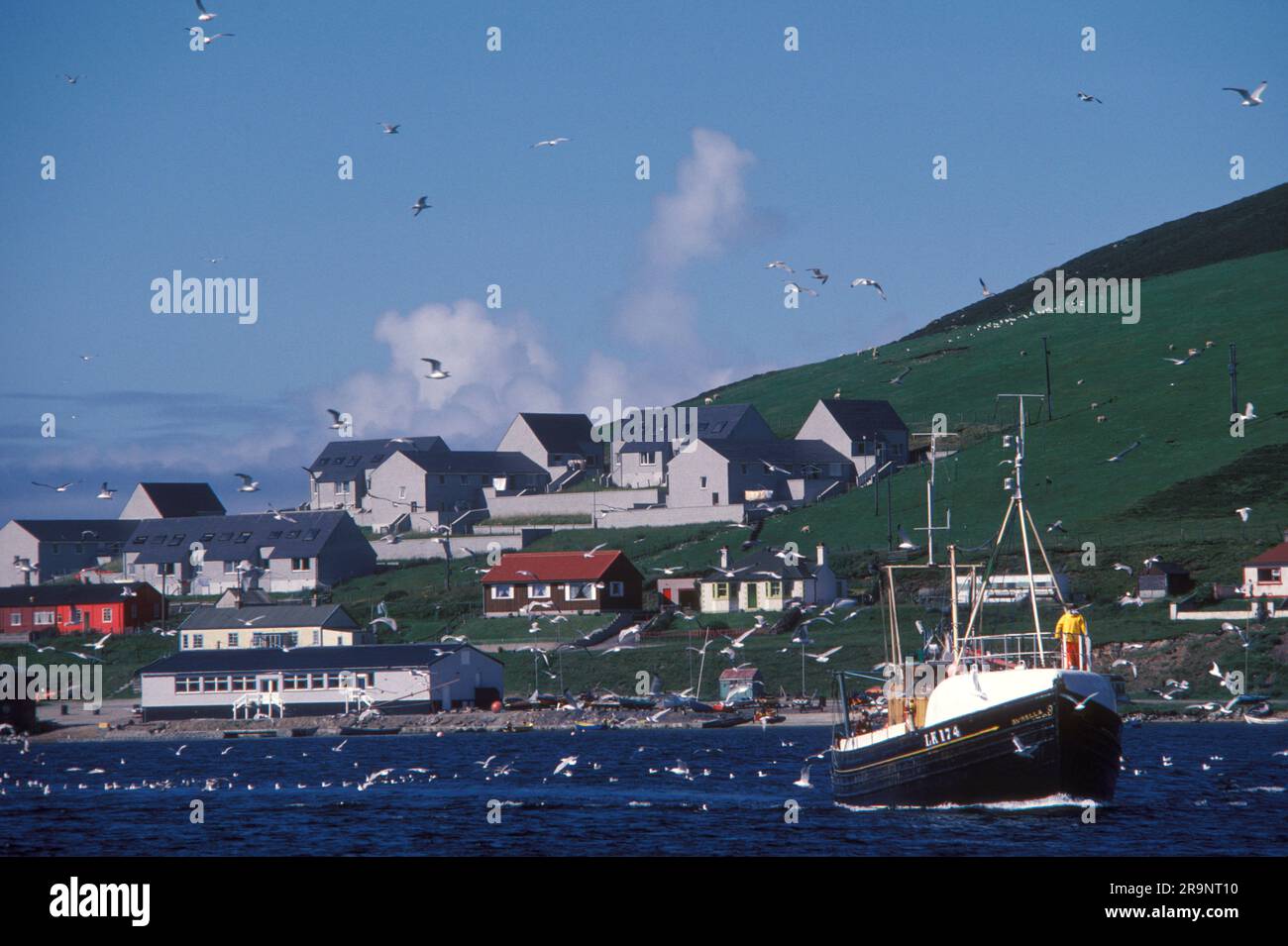 Fishing industry ships leaving harbour, new oil industry housing on hillside. Lerwick, Shetlands Mainland, Shetland Islands, Scotland, circa 1979. UK 1970S HOMER SYKES Stock Photo