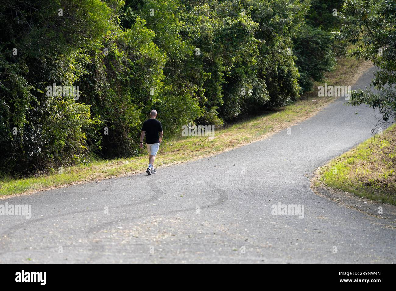 man walking alone on a road in the forest Stock Photo