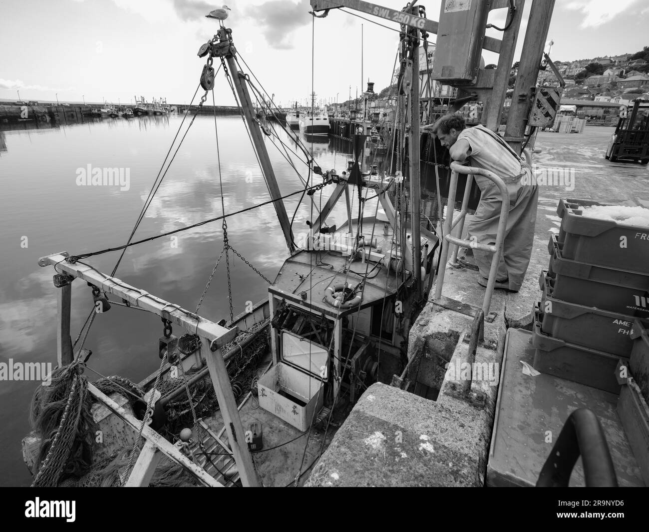 NEWLYN HARBOUR FISH MARKET BRINGING HOME THE CATCH Stock Photo Alamy