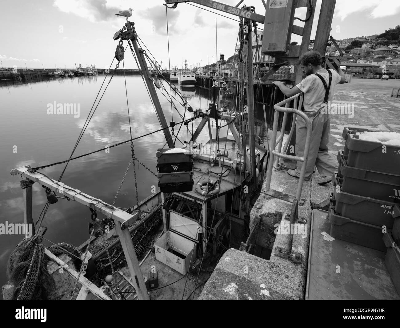 NEWLYN HARBOUR FISH MARKET BRINGING HOME THE CATCH Stock Photo Alamy