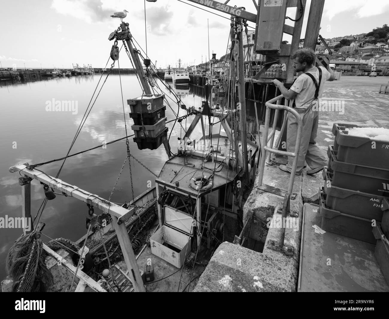NEWLYN HARBOUR FISH MARKET BRINGING HOME THE CATCH Stock Photo Alamy
