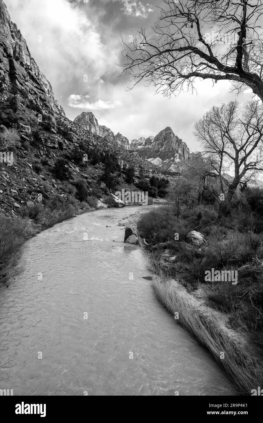 Zion National Park Virgin River in Black and White Stock Photo Alamy