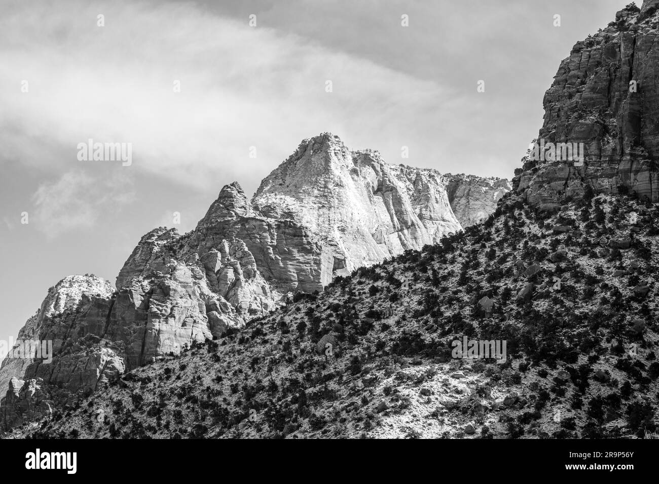 Peak in Zion National Park in Black and White Stock Photo Alamy