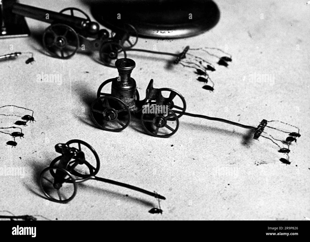 circus, flea circus, show, fleas dragging miniatures, 1950s, ADDITIONAL