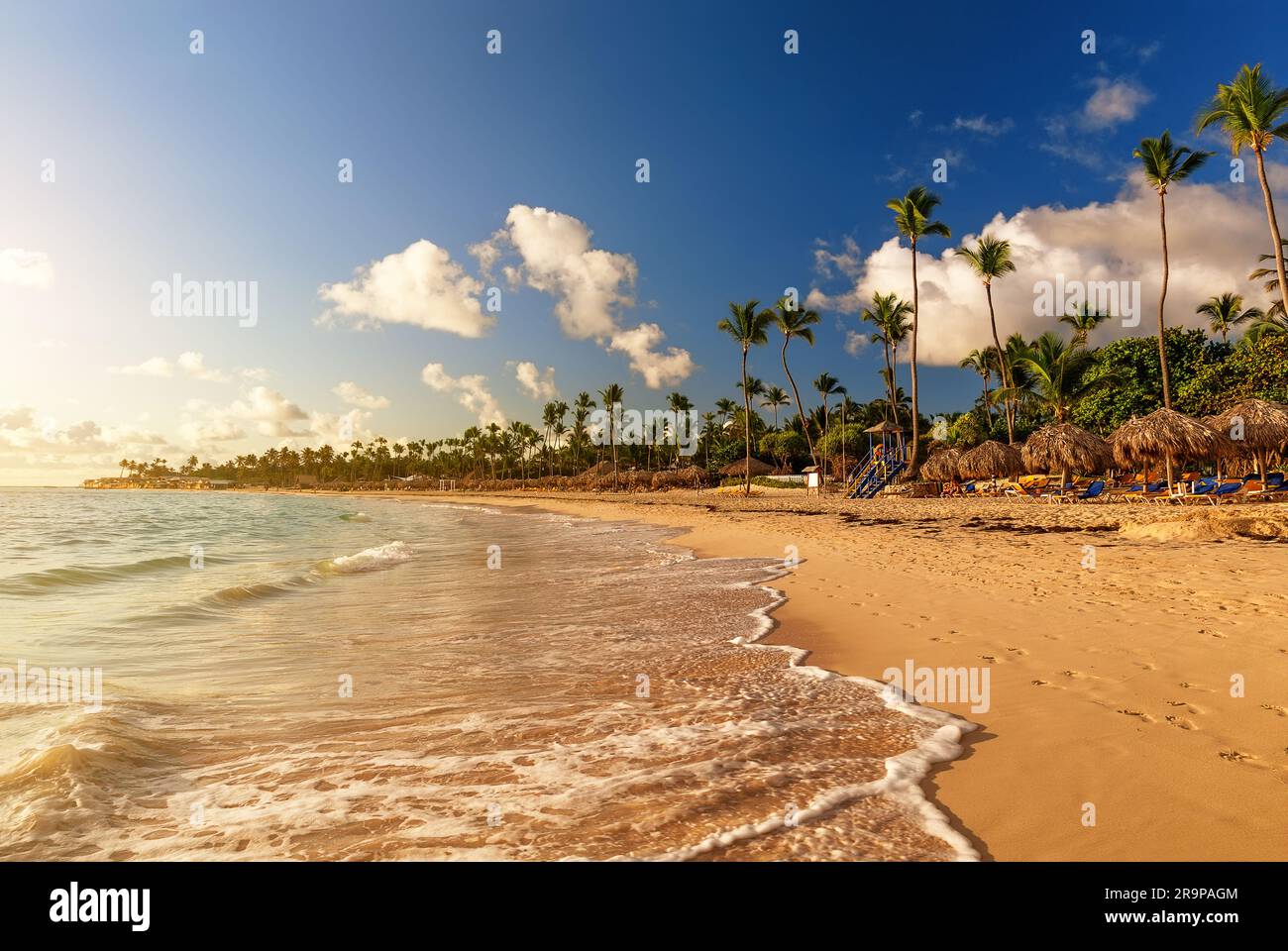 Coconut palm trees on white sandy beach against colorful sunset in Punta Cana, Dominican Republic. Dark silhouettes of palm trees and beautiful cloudy Stock Photo