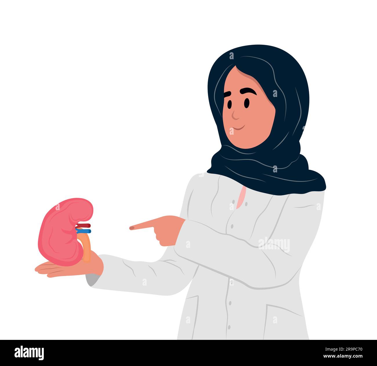 Nephrologist muslim female doctor , kidneys issues. World Day of Organ Donation and Transplantation.World Kidney Day. Concept of treatment of kidney Stock Vector