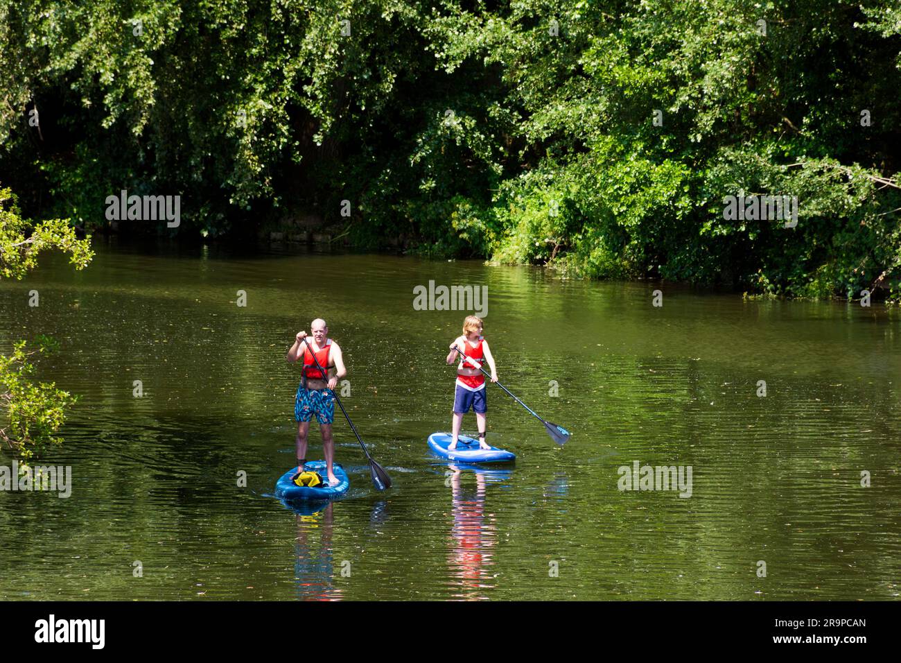 Paddle boarders on the River Avon at Batheaston, Somerset, UK Stock Photo