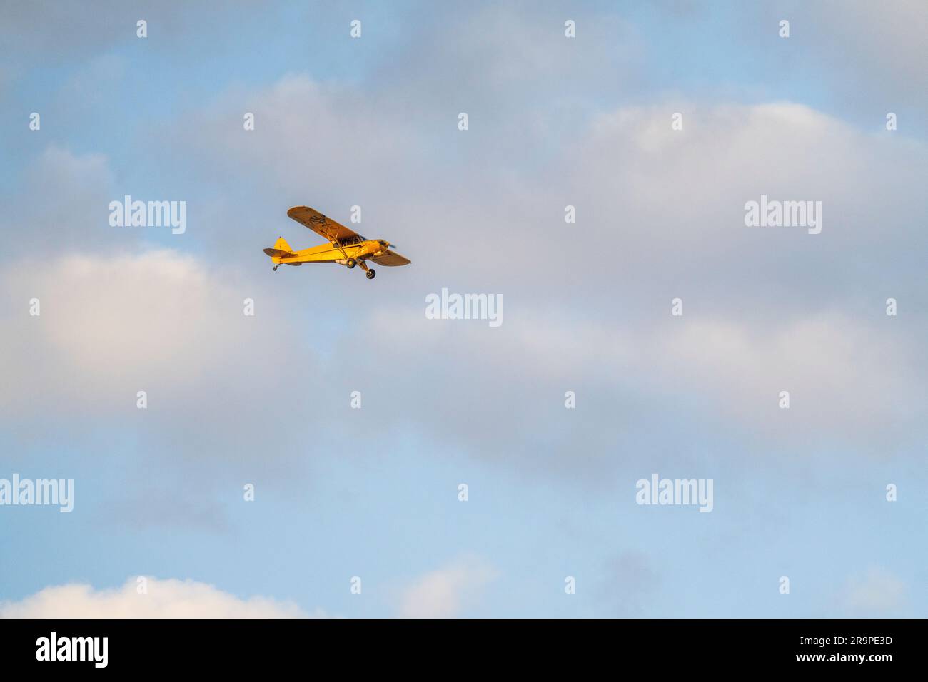 Yellow Cessna flying over, backdrop blue sky with white clouds. Rhino protection, poaching. Namibia, Africa Stock Photo