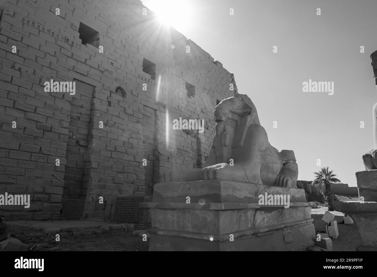 Luxor temple Black and White Stock Photos & Images Alamy