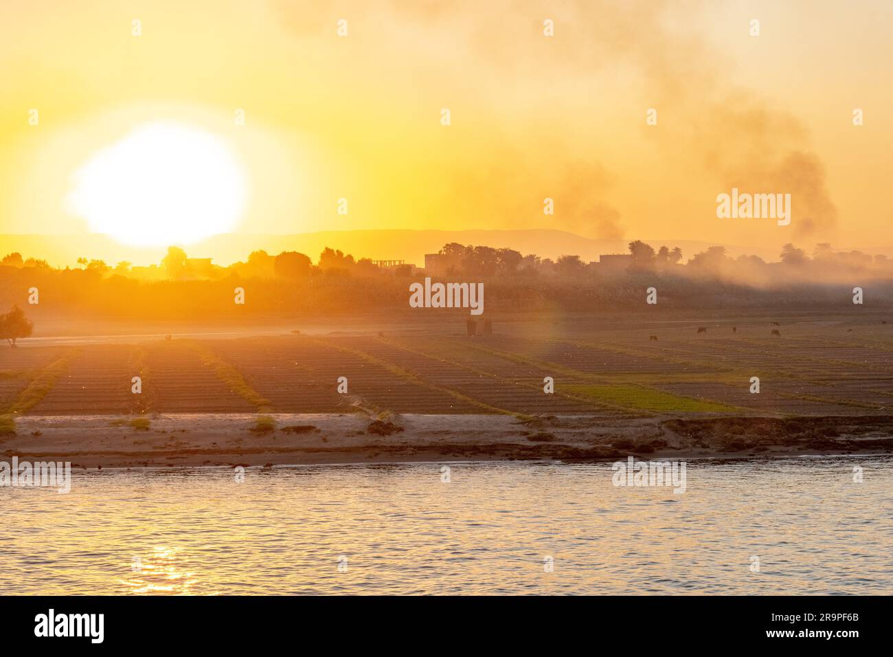 Sunset Light over the Nile River with farm animals grazing Stock Photo ...