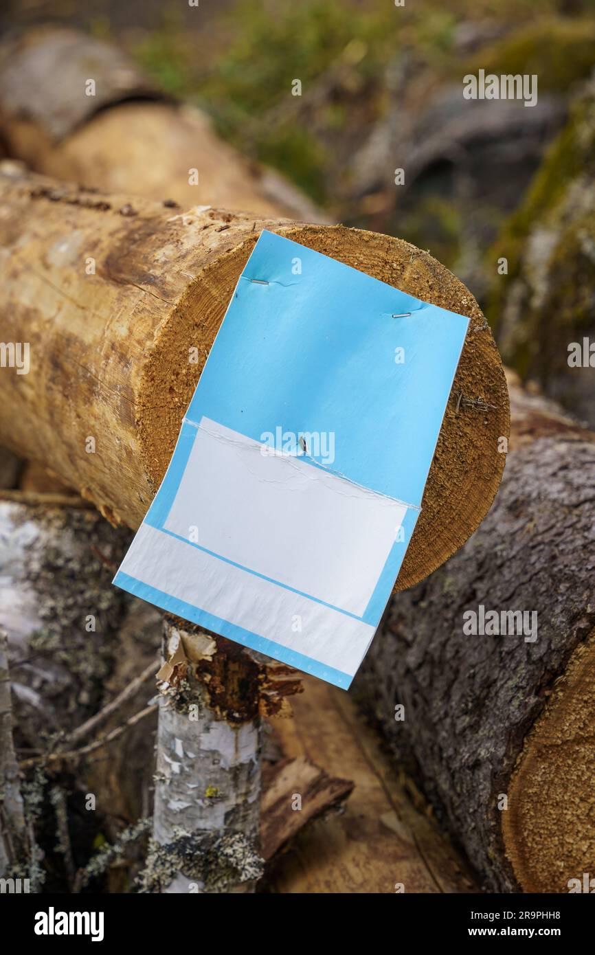 Empty blue and white card on a log, wood industry mockup. Stock Photo